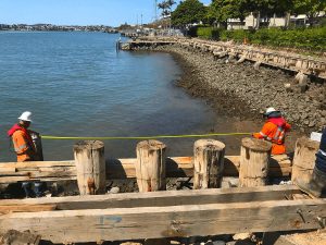 Mariners Reach Riverwalk Remediation Pylons